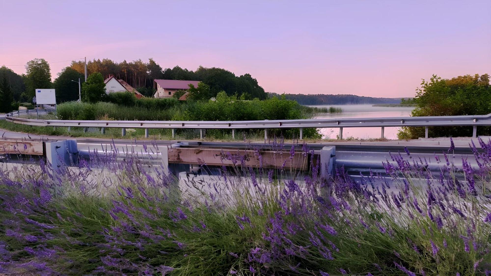 Wrzosowy Mlyn - Twoje Miejsce Nad Jeziorem Miedzyrzecz Bagian luar foto
